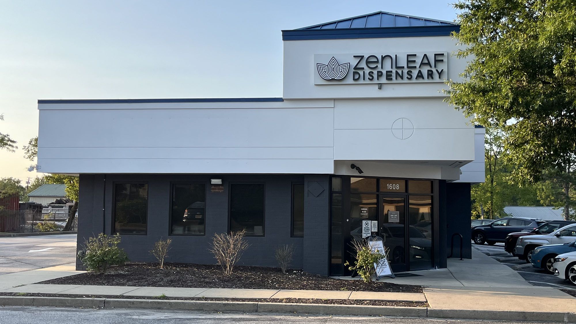 The Best Cannabis Strains for Sleep: A Jersey Shore Guide