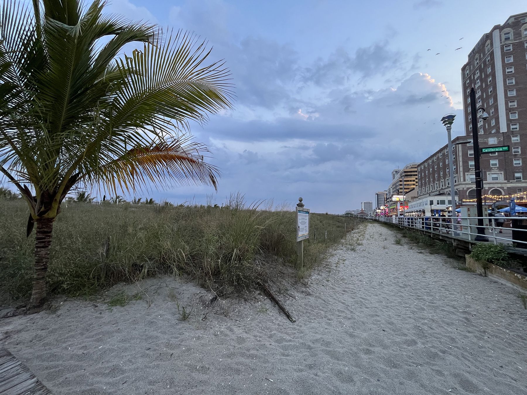 Cannabis at the Jersey Shore: What You Need to Know About Beach Use and Consumption Lounges